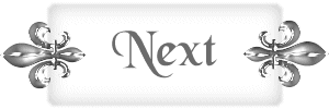 flnext.gif (6643 bytes)