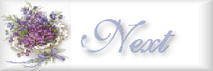 vbnext.gif (15178 bytes)