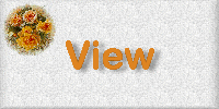 yrview.gif (10687 bytes)